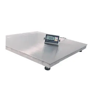 Floor Scale