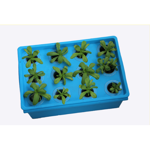 Hidroponia Grow Box Kit Para Grwoing Vegetal Interior