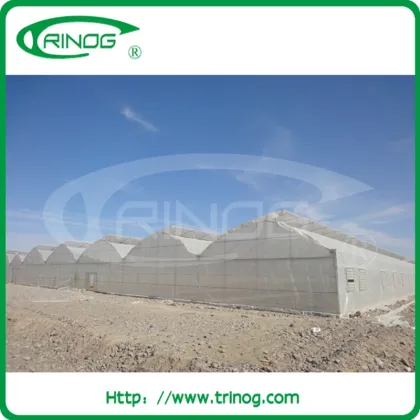 Long stand PE film green house with film cover
