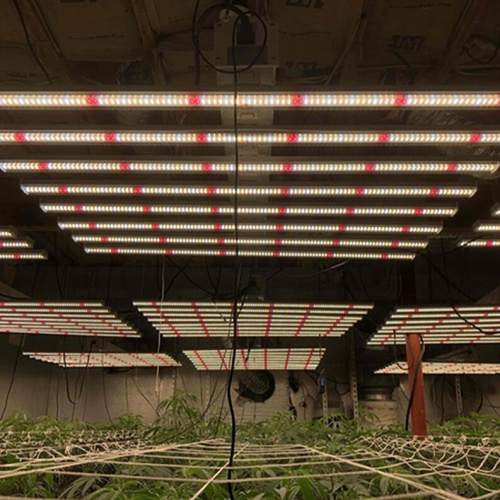 Sale Led 730Nm Far Red Led Grow Lights