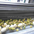 Fries Frites Productielijn wassen en peeling machine