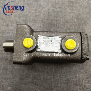 YB-D5/3 Oil Pumps for Polar Cutting Machine Parts | Polar Machinery Component