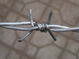 Galvanized Low Price Concertina Razor Barbed Wire