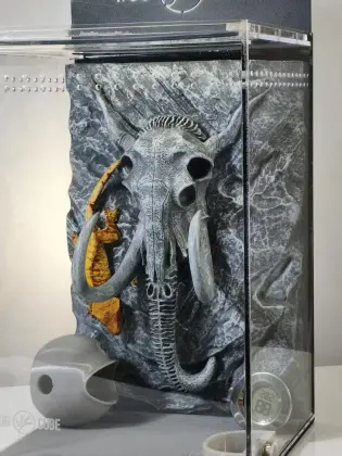 Mammoth Pattern Background Acrylic Terrarium