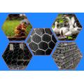 Fio hexagonal galvanizado, malha de arame hexagonal revestido com PVC