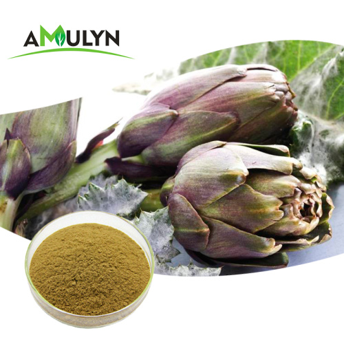 Cynarin Powder artichoke leaf extract powder