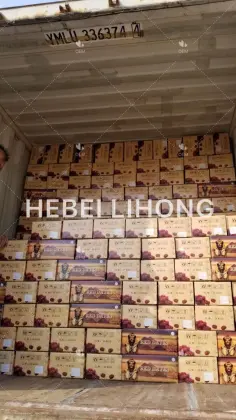 10kg Seedless Honey Red Dates