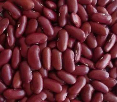 Dark Red Kidney Beans