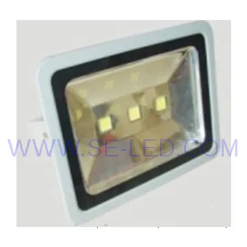 High Luminous Flux Pure White Bridgelux120W led floodlight