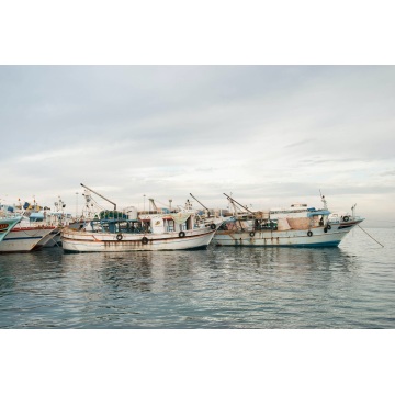 Reparación y remodelación de barcos pesqueros antiguos profesionales