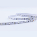 150led RGB 5050SMD IP20 12V LED-Band