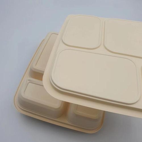 PLA pollution-free degradable food containers