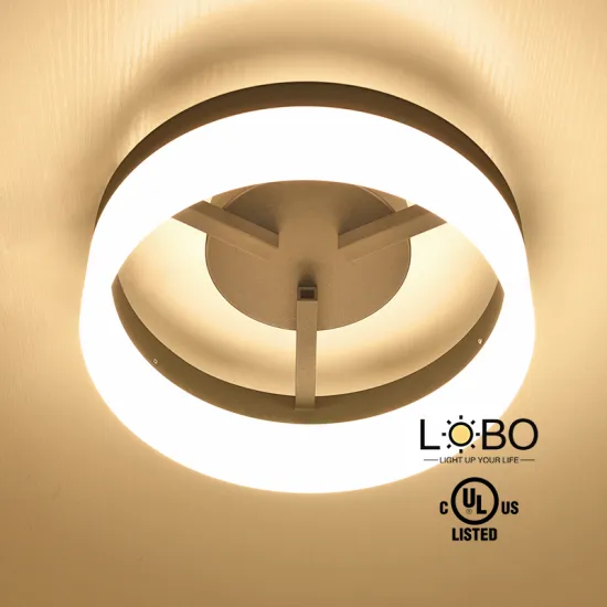 Modern Interior Acrylic Round LED Ceiling Lamp for Living Room
