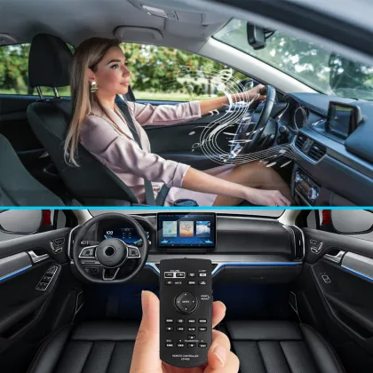 CXE5117 CD-R33 Controller Smart Remote Control for Pioneer Car Audio