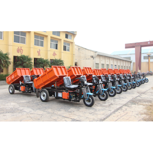 Mini véhicule électrique Dumper Cargo pour le transport