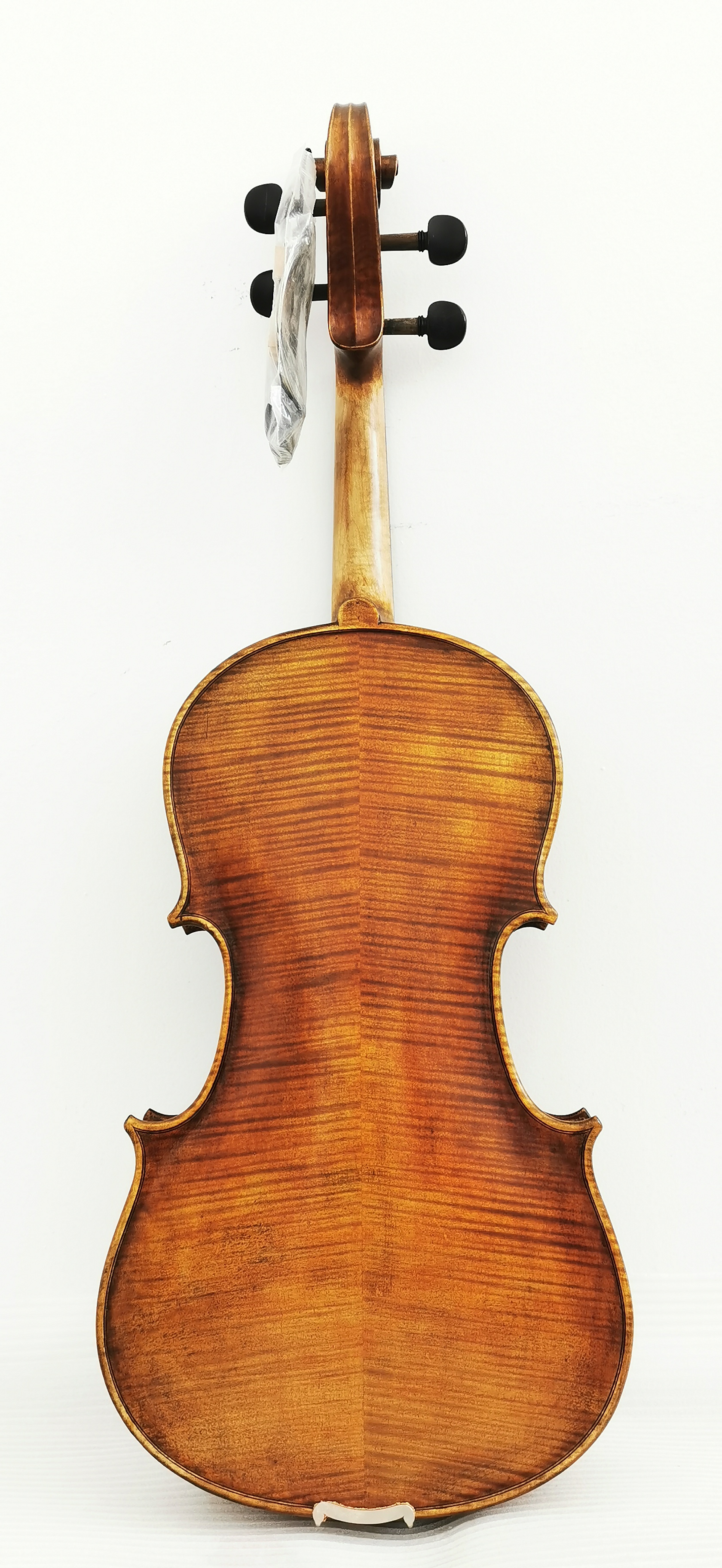 Viola6-2