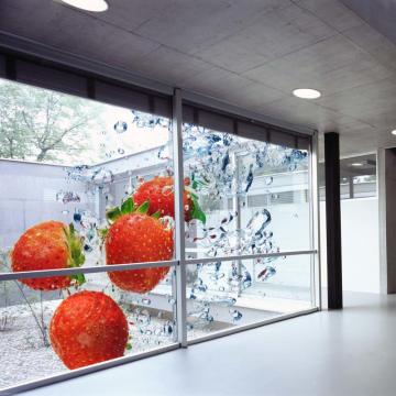 Transparentes LED -Glasdisplay