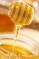 Ursprung solros honung