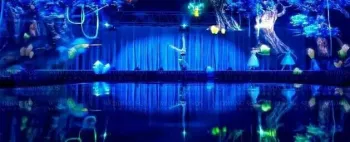 3D Holographic Projection Foil For Large Event Show