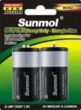 Blister Package 1.5V R20 D Size Battery