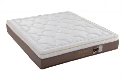 Double-sided coconut palm foam mattress