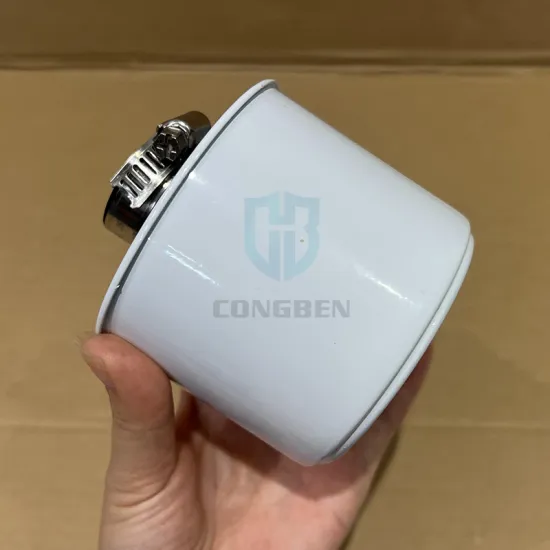 Truck Generator Engine Air Filter 8152009 10821114 Truck Luftfilter