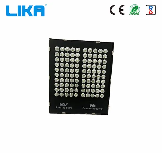 100W Plating Reflector Garden Outdoor Led Floodlight