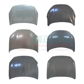 Auto Performance Parts: Engine Hoods for NETA Models - GT, AYA, NETA V, PRO U, N01, S, X