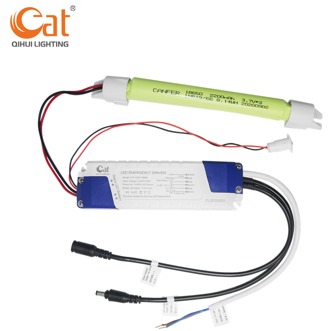 Kit d'alimentation d'urgence LED 60W intelligent