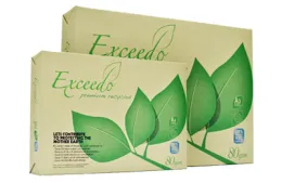 Exceedo Multipurpose A4 paper