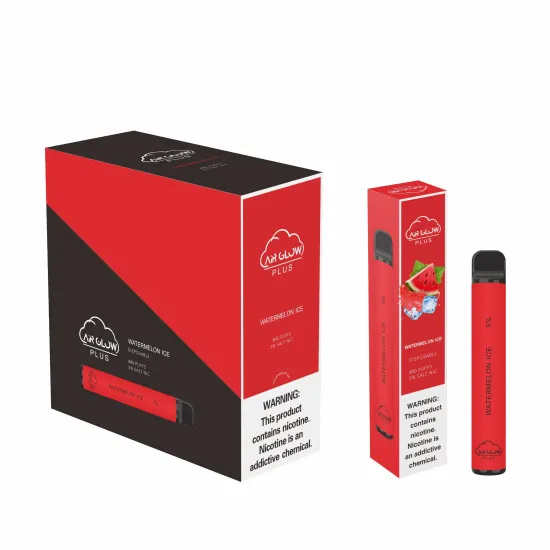 OEM Service Popular Disposable Vape 800puffs Mint Flavor
