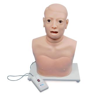 Model peperiksaan pharynx dan laring (pemantauan elektronik)