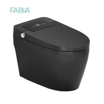 Black Color Bidet Smart Toilet With Remote