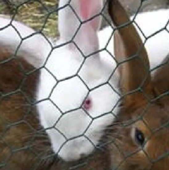 stainless steel hexagonal wire mesh factory