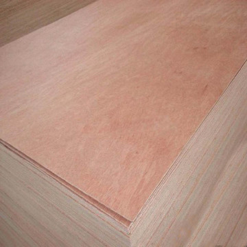 American Standard  12 Mm Packaging Plywood
