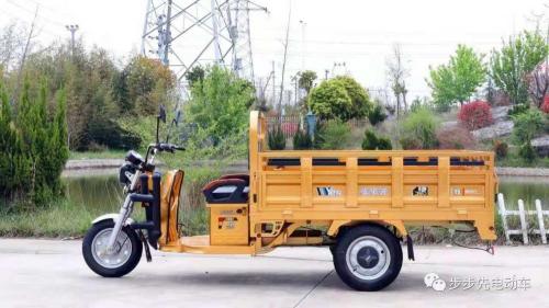 3-х колесный электрический мотоцикл для сельского хозяйства с использованием