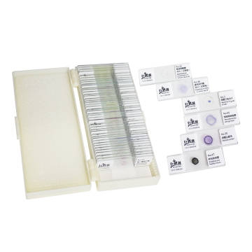 Flagellum Smear Slides and Gram Dyeing Kit for Fungi and Microbe Cells