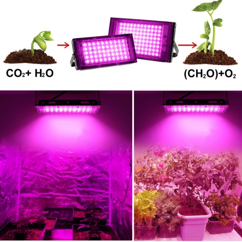 Full Spectrum LED Grow Light