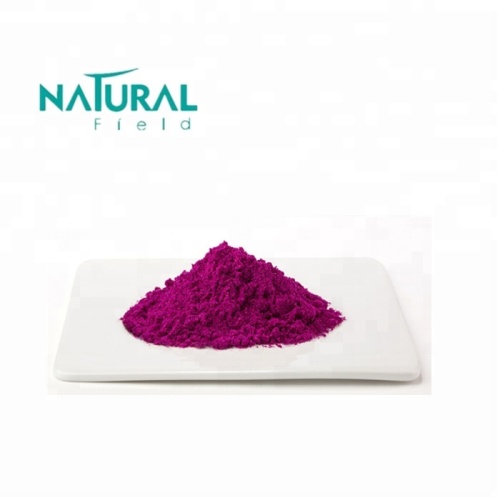 Super food & Beverage Additives 100% Organic Freezed-dried Pitaya Dragon Fruit Powder Factory