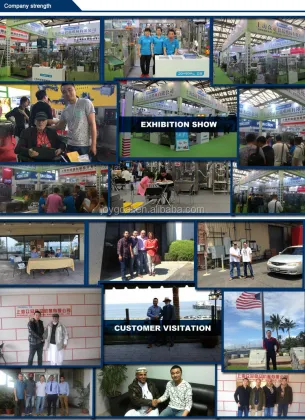 Vacuum Packing Machine for Goat's Cheese Portions