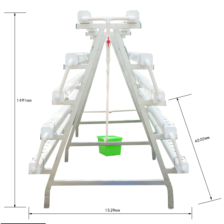 A frame hydroponic