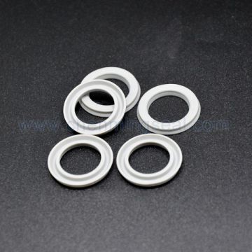 PTFE Seals PTFE Lip Seals PTFE Oil Seals