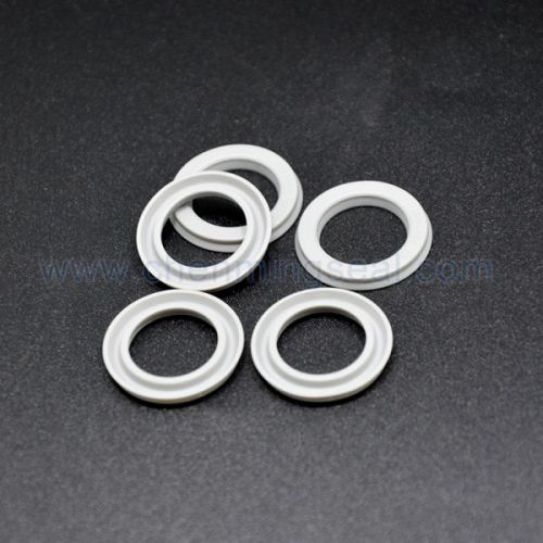 PTFE SEALS PTFE LIP SEALS PTFE Λεπές λαδιού