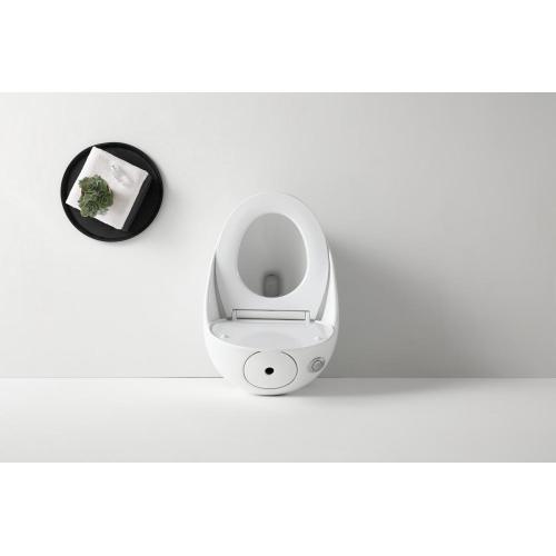 Ceramic WC Toilet with Soft Closing Seat Cover