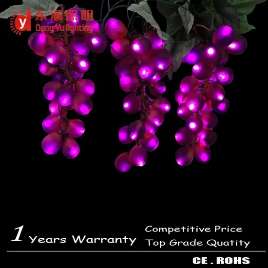 2015 style grape CE ROHS certificated new designed popular ball led decorate light led home decoration light