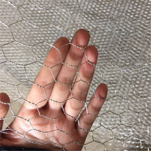 Wire mesh ayam elektro galvanis hot dip