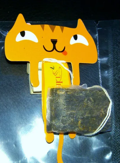 Pu'er carton tea bag