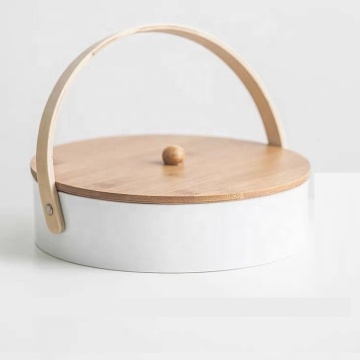 Nordic Luxury Portable Porcelain Snack Plate