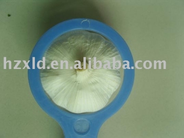 sell Chinese fresh garlic