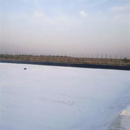 Hot sale 350g m2 non woven geotextiles